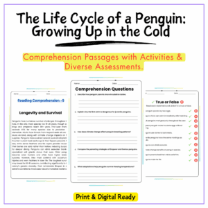Penguin Life Cycle Worksheet