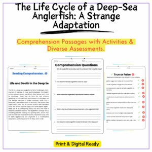 Anglerfish Life Cycle Worksheet