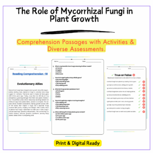 The Role of Mycorrhizal Fungi in Plant Growth