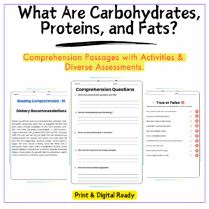 Macronutrients Worksheet