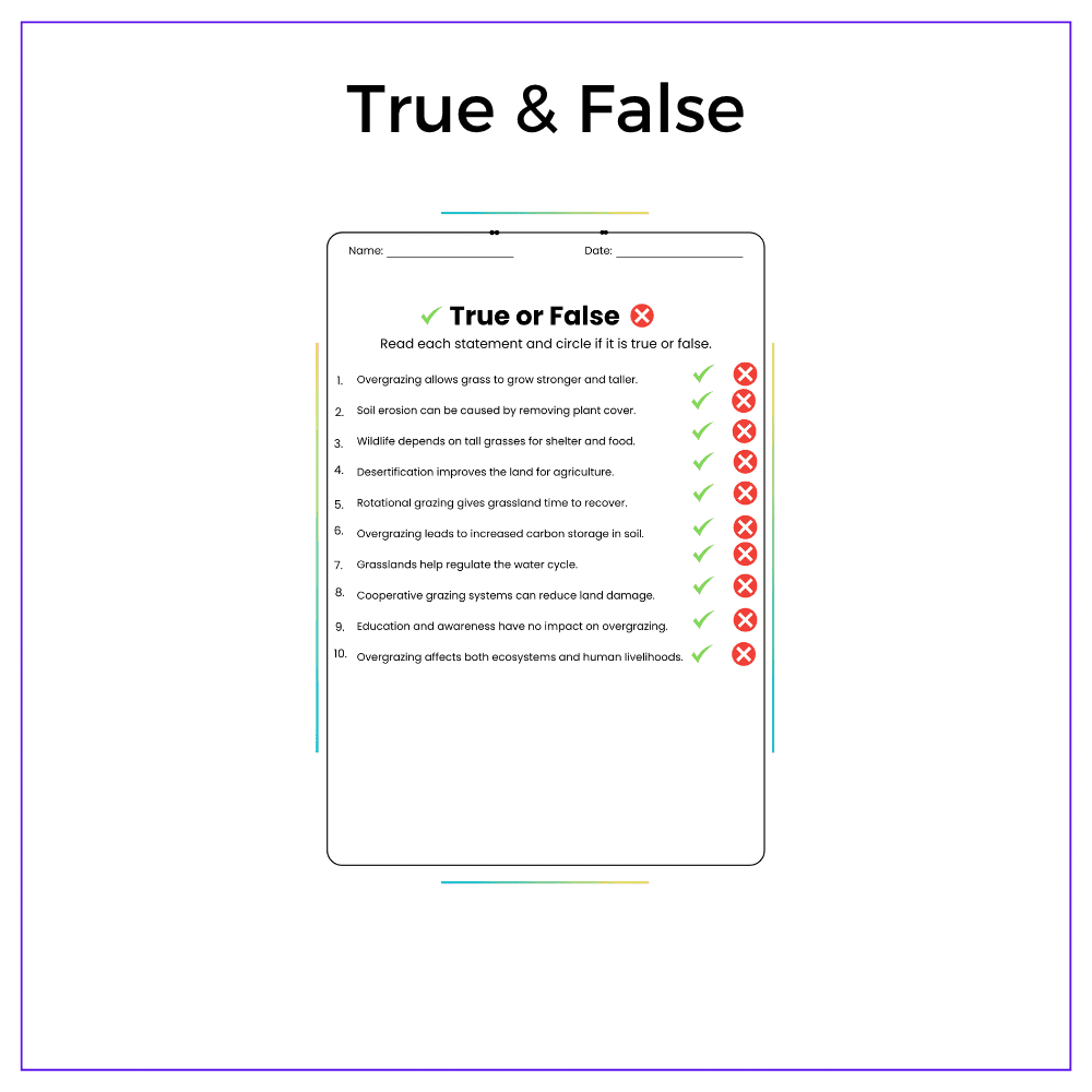 Grassland Overgrazing Worksheet - Image 6
