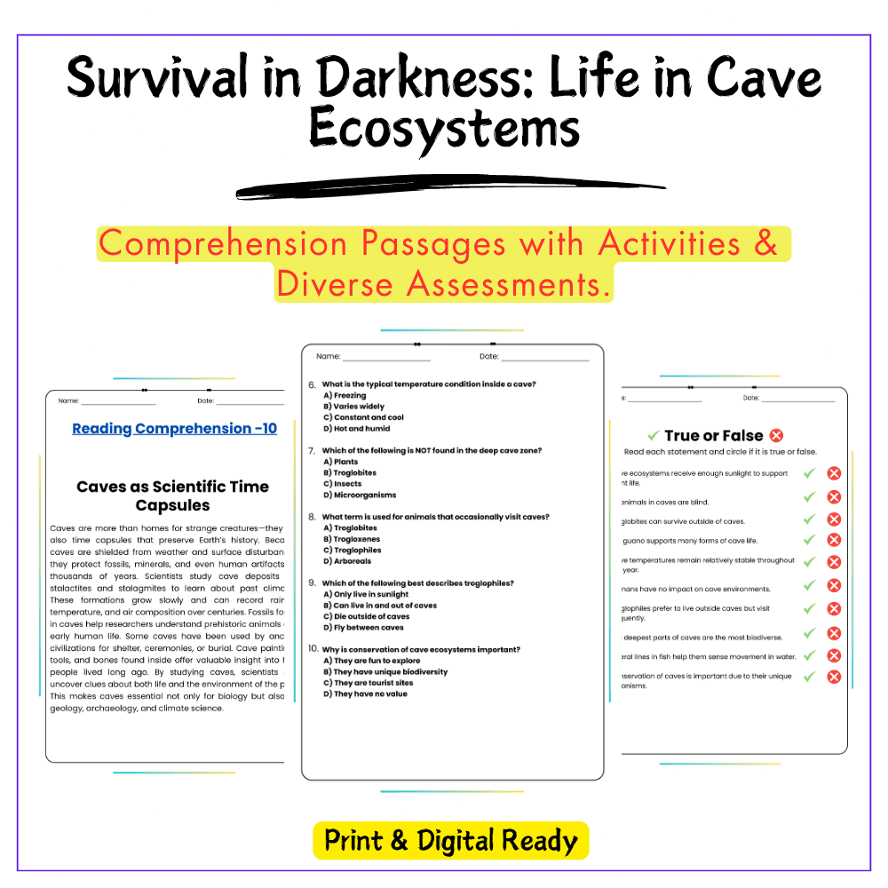Cave Ecosystems Worksheet