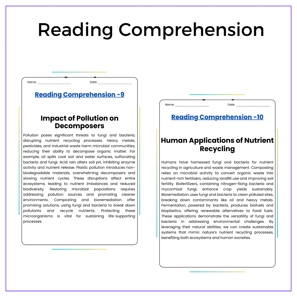 Nutrient Recycling Worksheet - Image 7