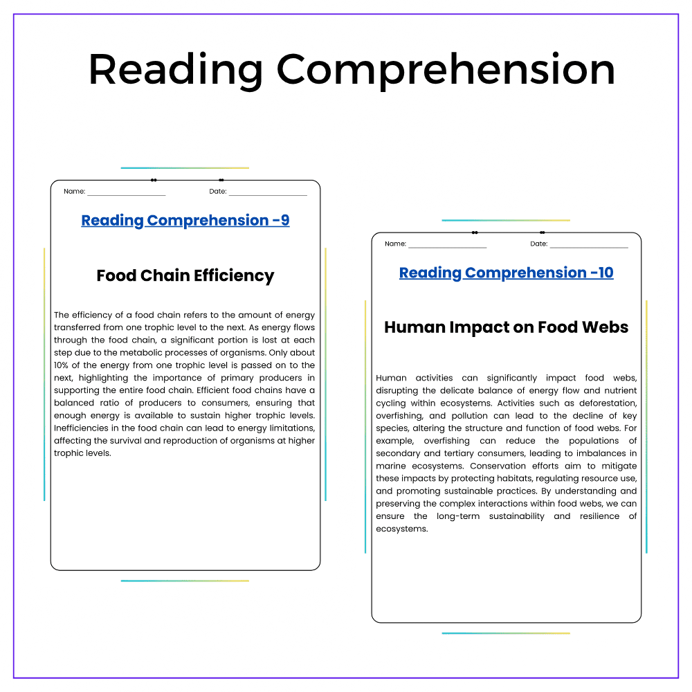 Food Chains & Webs Worksheet - Image 2