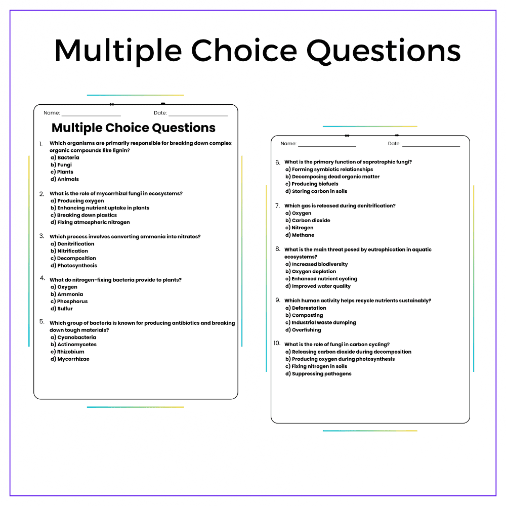 Nutrient Recycling Worksheet - Image 6