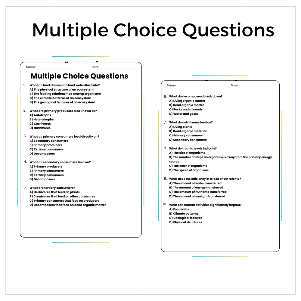 Food Chains & Webs Worksheet - Image 3