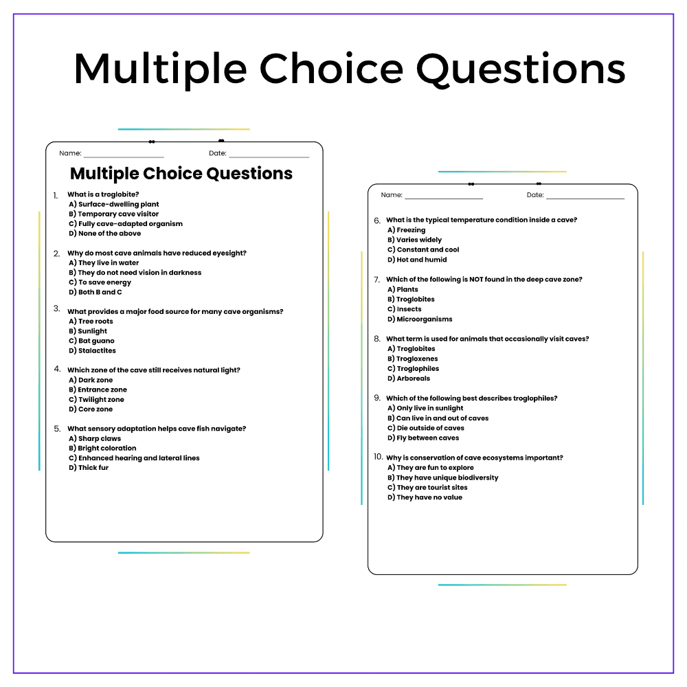Cave Ecosystems Worksheet - Image 3