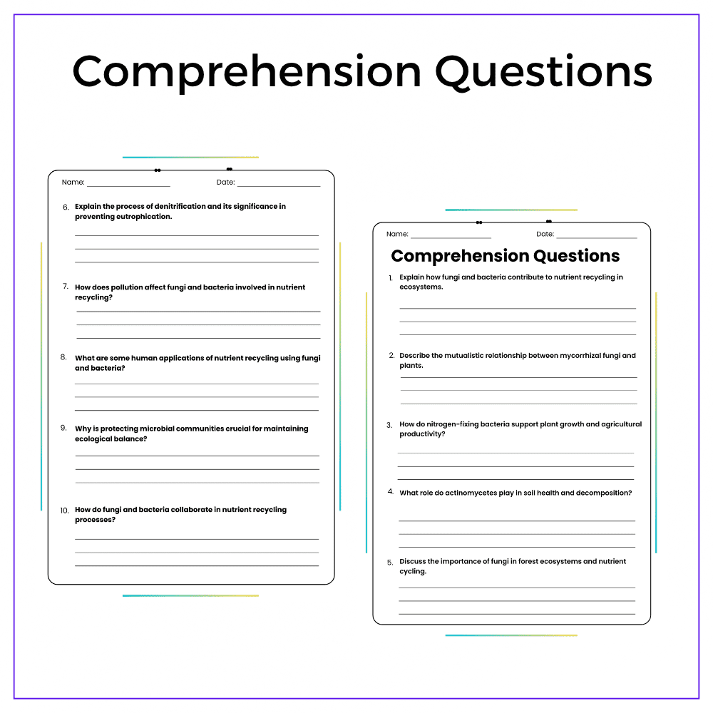 Nutrient Recycling Worksheet - Image 4