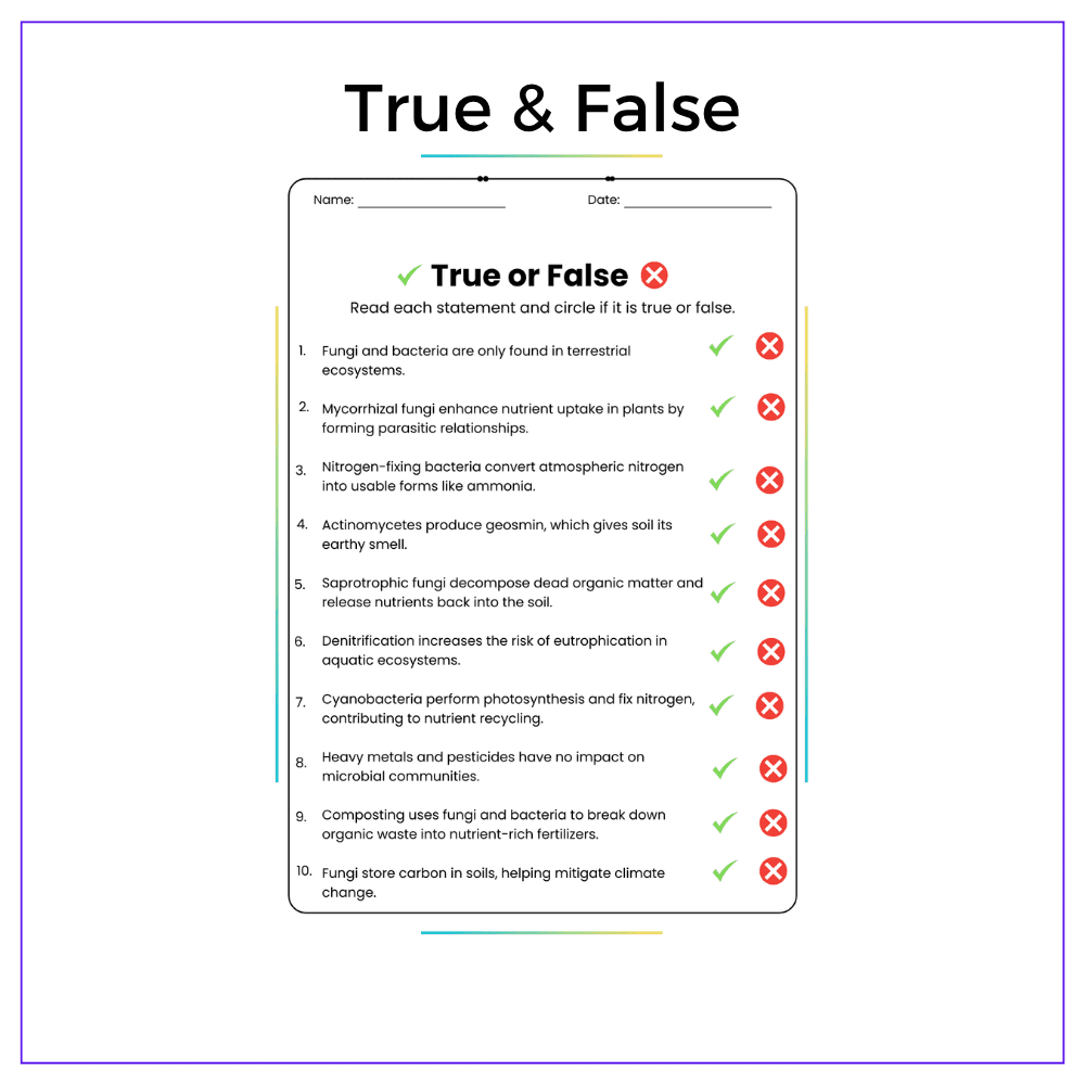 Nutrient Recycling Worksheet - Image 3