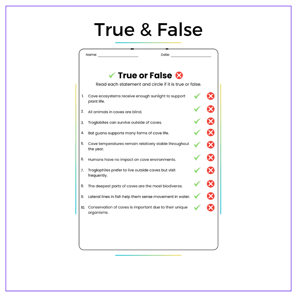 Cave Ecosystems Worksheet - Image 6