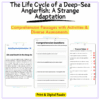 Anglerfish Life Cycle Worksheet
