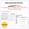 Supersaturated Solutions Worksheet