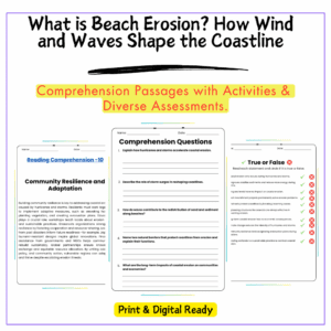 What is Beach Erosion? How Wind and Waves Shape the Coastline
