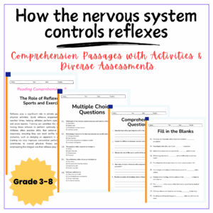Reflexes & Nervous System Worksheet