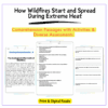 Wildfires & Heat Worksheet