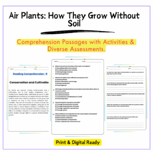 Air Plants Worksheet