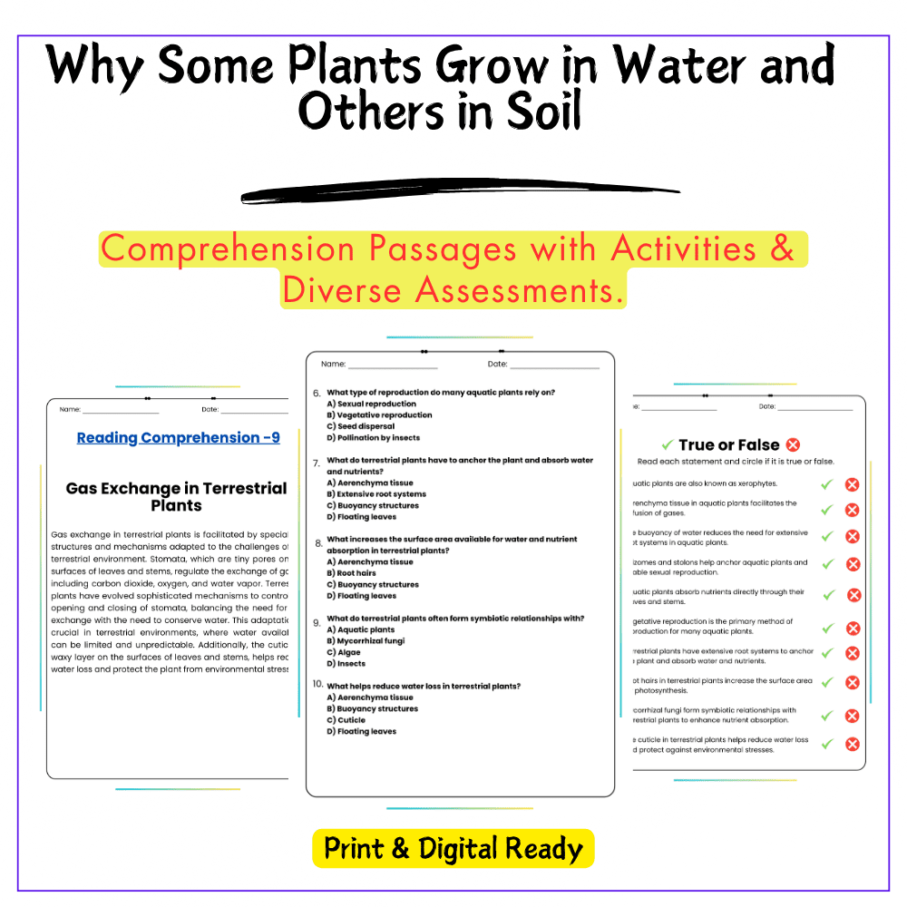 Plants in Water vs. Soil Worksheet