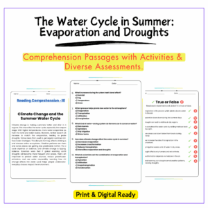 Water Cycle in Summer Worksheet