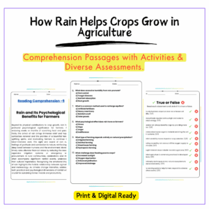 Rain & Crops Worksheet