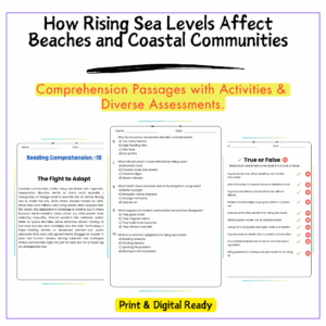 How Rising Sea Levels Affect Beaches and Coastal Communities