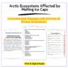 Arctic Ecosystems Worksheet