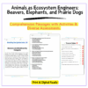 Ecosystem Engineers Worksheet