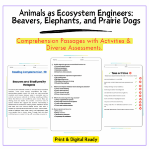 Ecosystem Engineers Worksheet