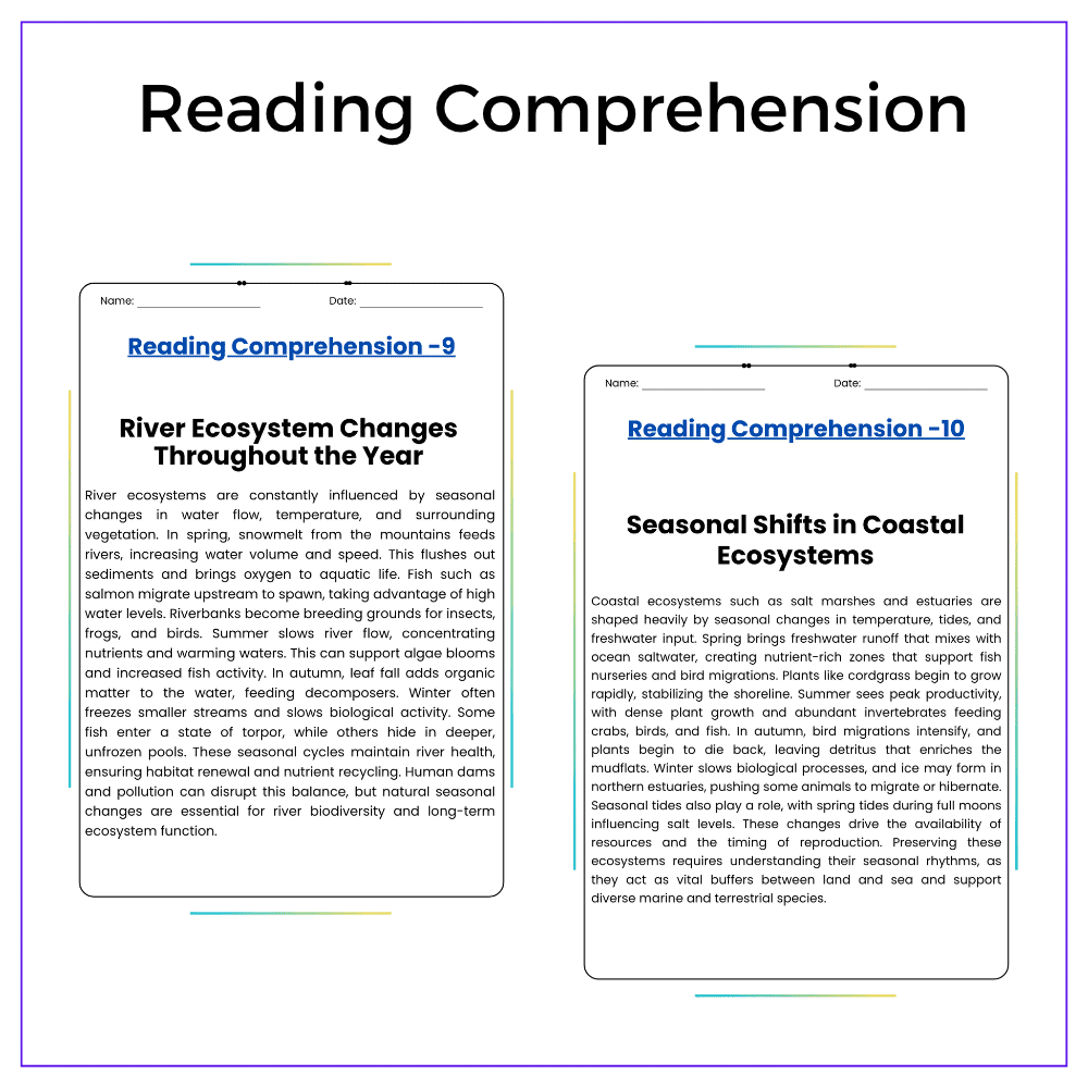 Seasonal Ecosystem Changes Worksheet - Image 3