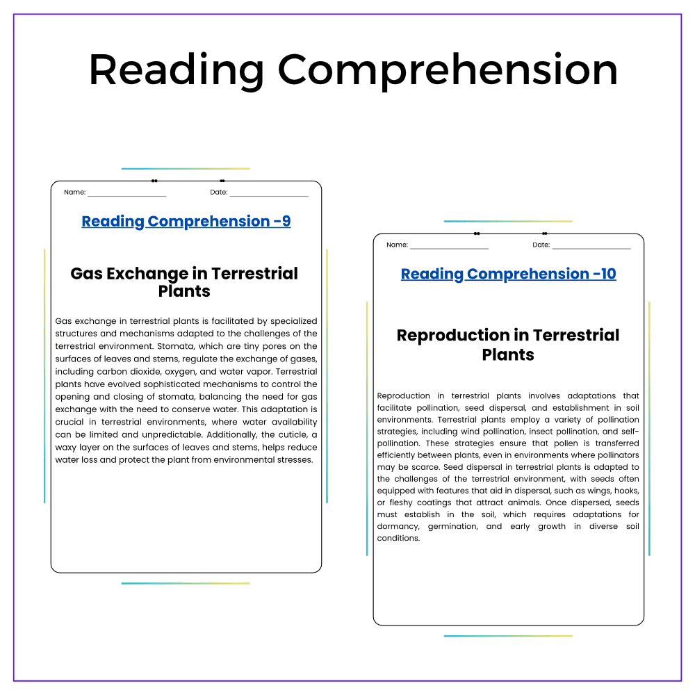 Plants in Water vs. Soil Worksheet - Image 2