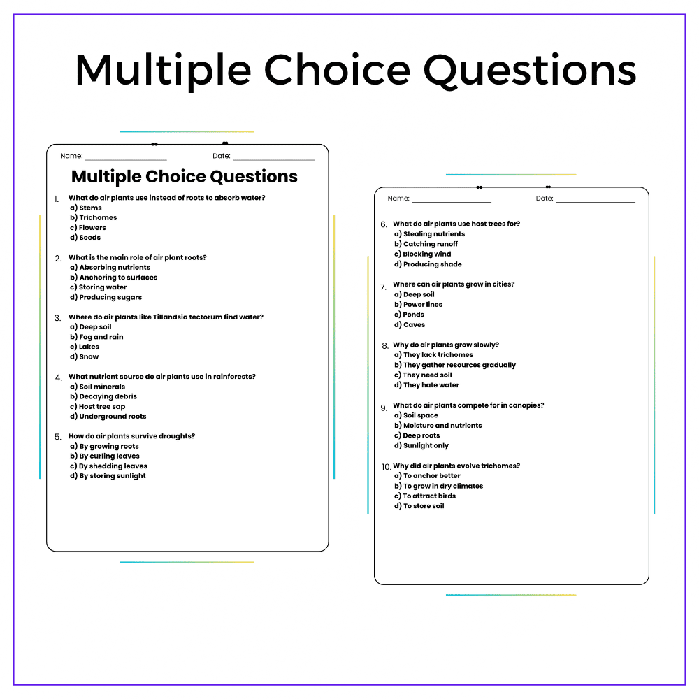 Hidden World of Roots Worksheet - Image 3