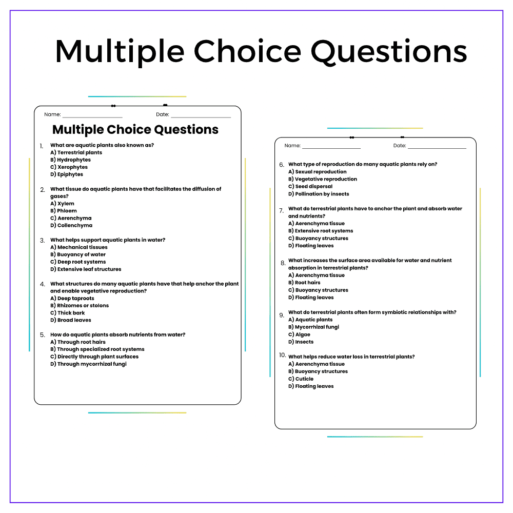 Plants in Water vs. Soil Worksheet - Image 3