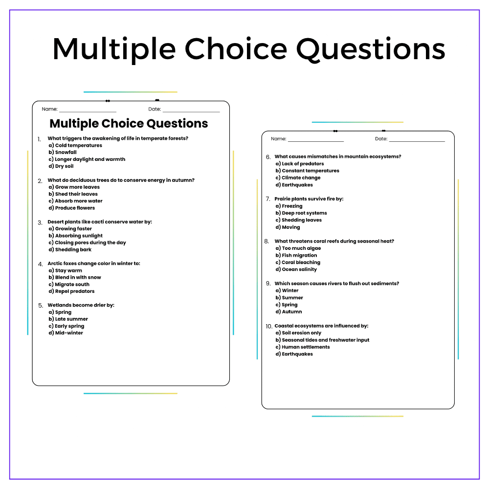 Seasonal Ecosystem Changes Worksheet - Image 4