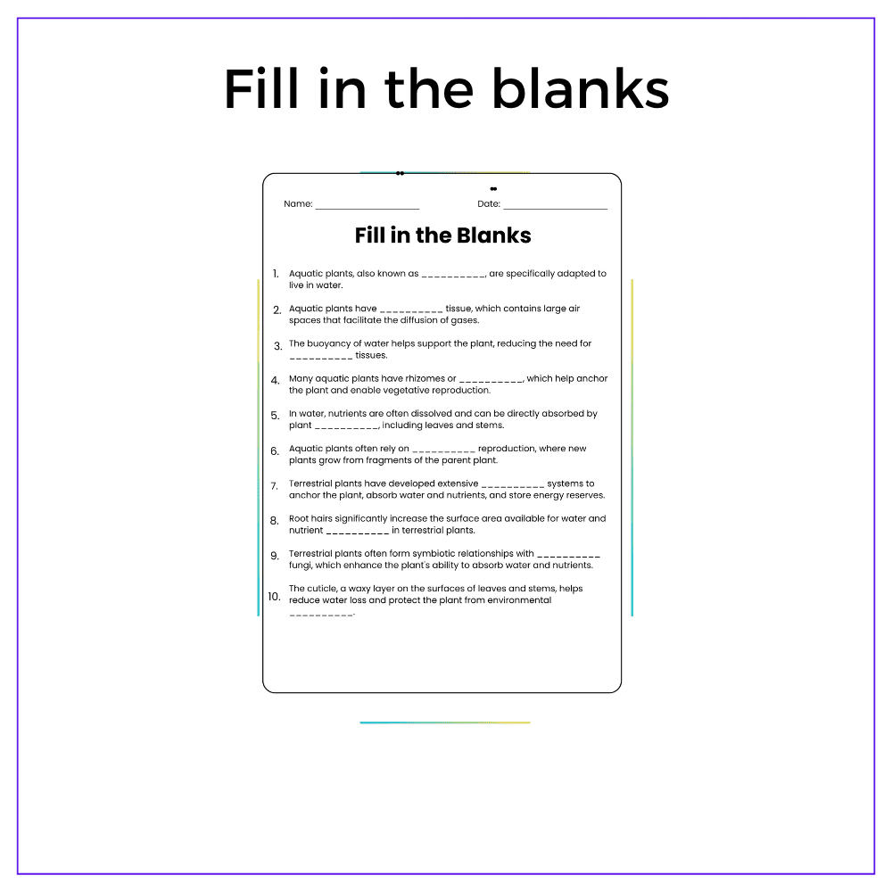 Plants in Water vs. Soil Worksheet - Image 4