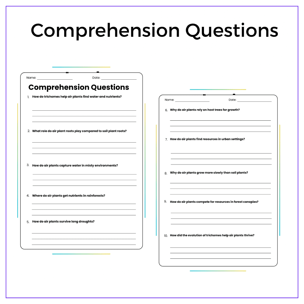 Hidden World of Roots Worksheet - Image 5