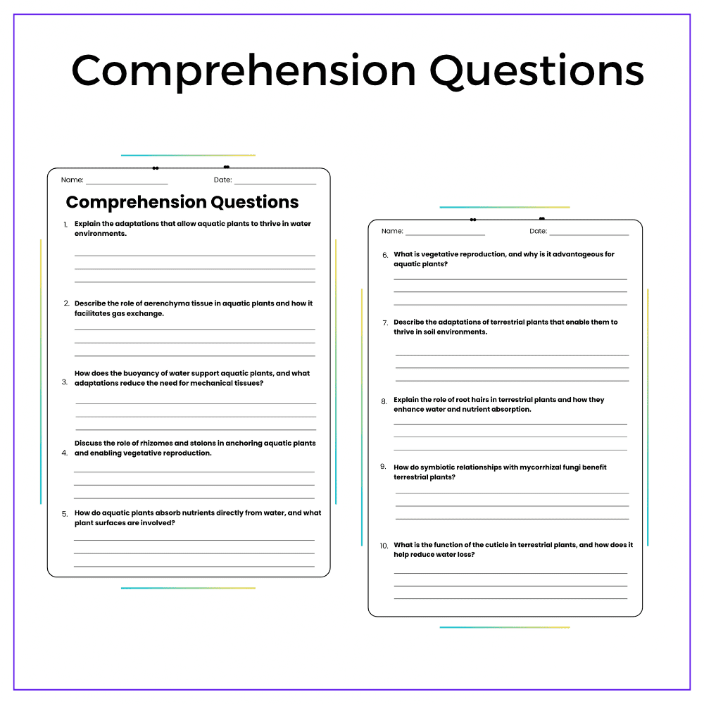 Plants in Water vs. Soil Worksheet - Image 5