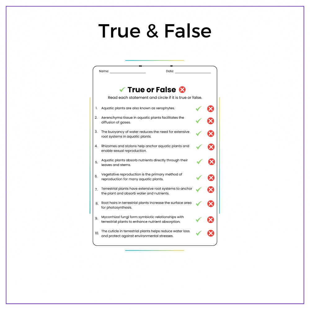 Plants in Water vs. Soil Worksheet - Image 6