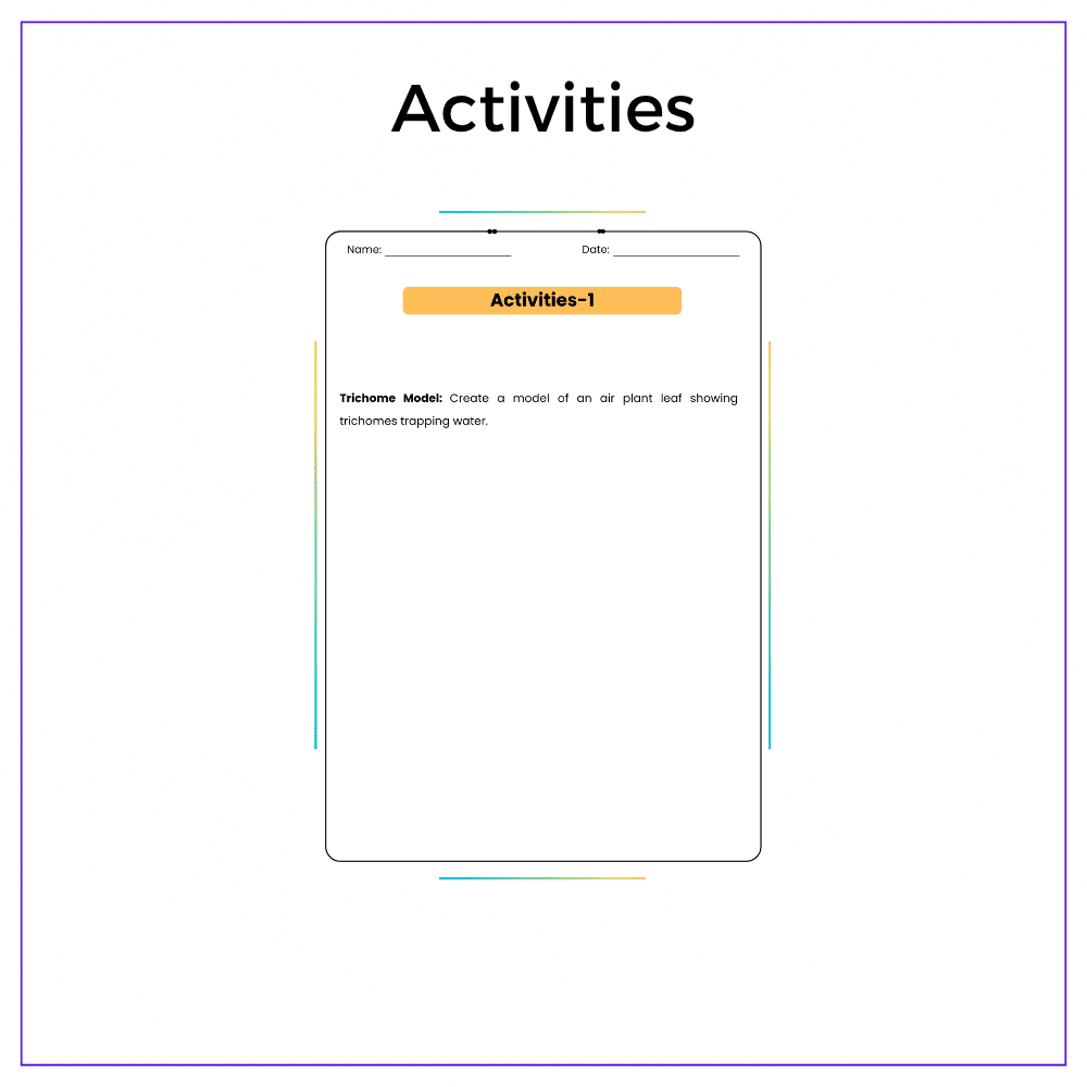 Hidden World of Roots Worksheet - Image 7