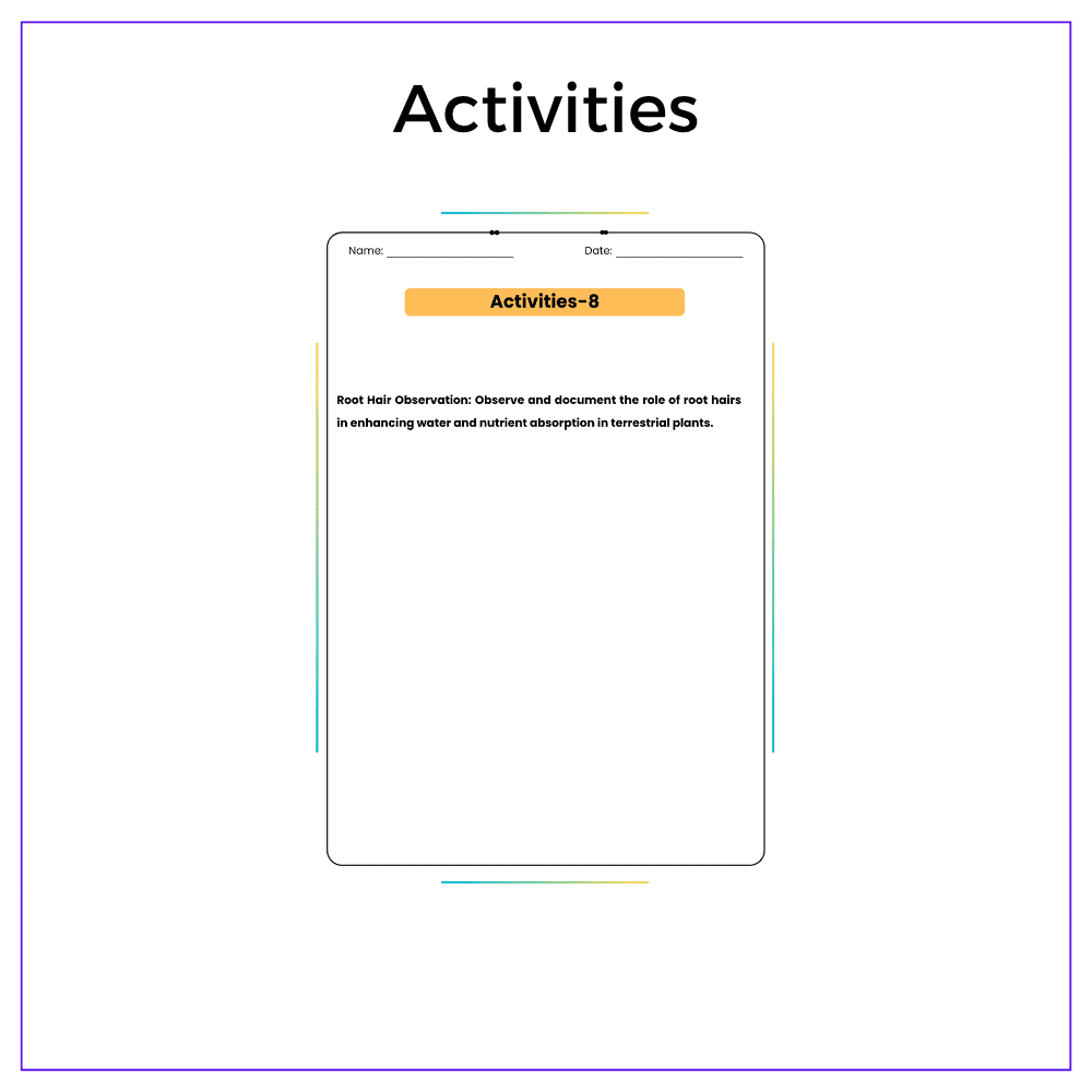 Plants in Water vs. Soil Worksheet - Image 7