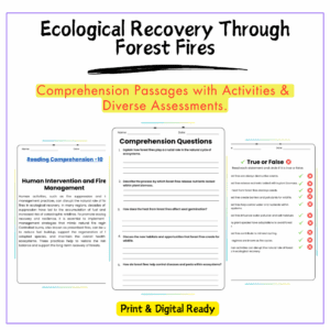 Forest Fire Recovery Worksheet