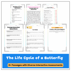 Butterfly Life Cycle Worksheet