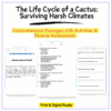 Cactus Life Cycle Worksheet