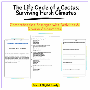 Cactus Life Cycle Worksheet
