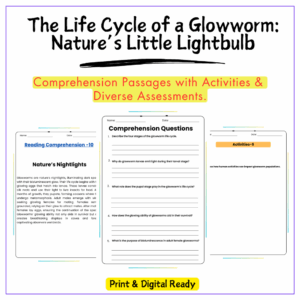 Glowworm Life Cycle Worksheet