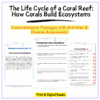 Coral Reef Life Cycle Worksheet