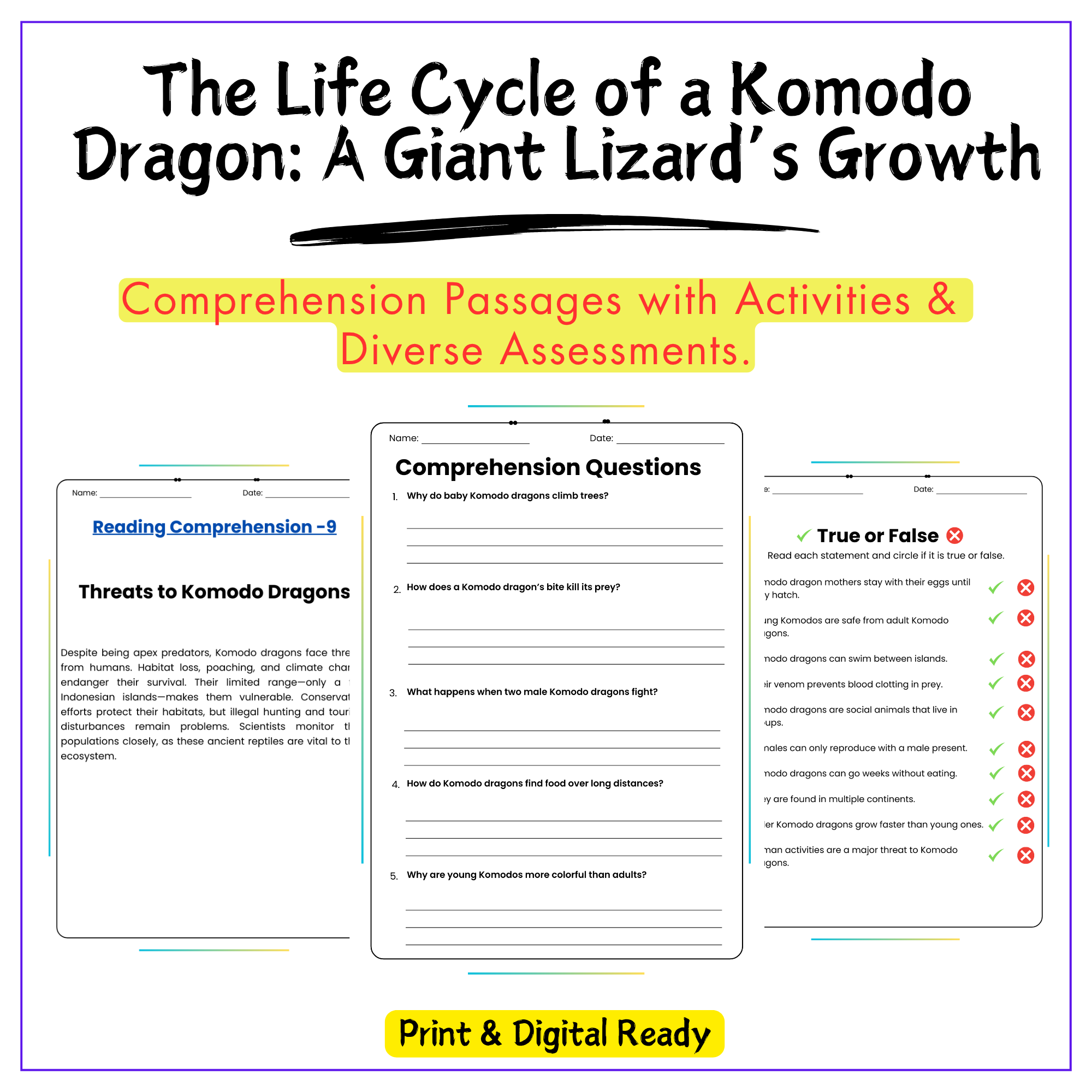 Komodo Dragon Life Cycle Worksheet