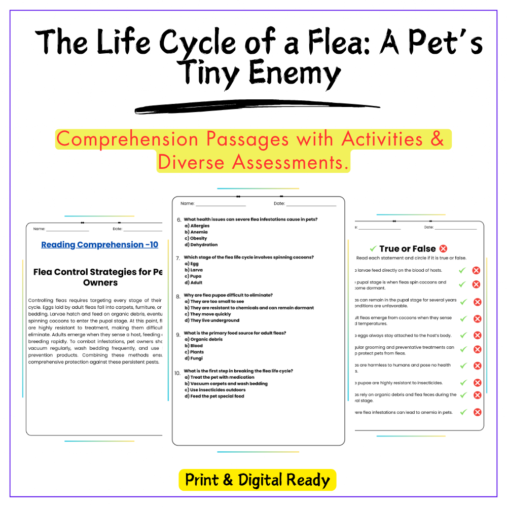 Flea Life Cycle Worksheet