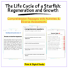 Starfish Life Cycle Worksheet