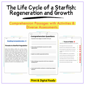 Starfish Life Cycle Worksheet
