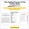 Body Healing Process Worksheet