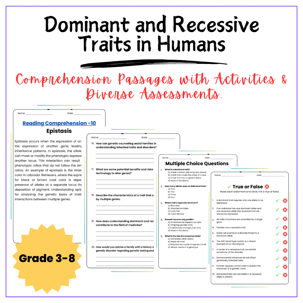 Genetic Traits Worksheet